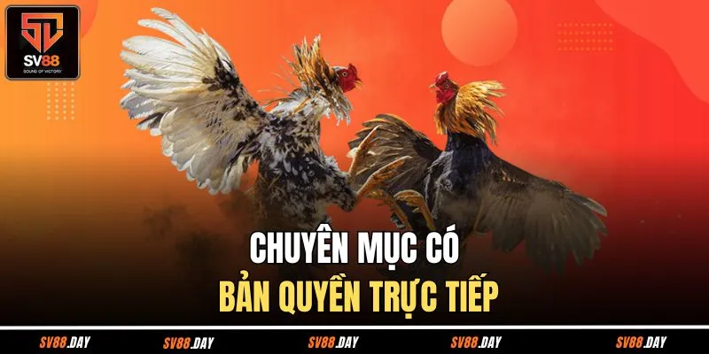 Chuyên mục có bản quyền trực tiếp