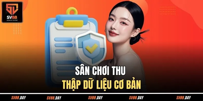 Sân chơi thu thập dữ liệu cơ bản